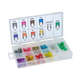   M.N.C. Biztosíték készlet 05716 tárolódobozban - 100 db - 2-30A