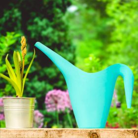 Garden of Eden 11325 Öntözőkanna - 1,6 L - 3 színben