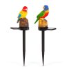 Garden of Eden Leszúrható szolár dekoráció - papagáj - 1 melegfehér LED - 8 x 60 x 41 cm, 11426H