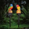 Garden of Eden Leszúrható szolár dekoráció - papagáj - 1 melegfehér LED - 8 x 60 x 41 cm, 11426H