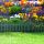 Garden of Eden 11468K Virágágyás szegély / kerítés - 60 x 23 cm - zöld