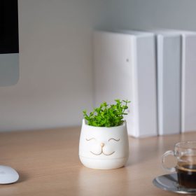   Vog&Arths 11849 Műnövény dekoráció - macskafej - 9 x 14 cm - 3 féle