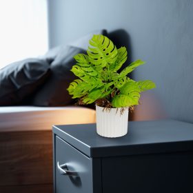 11888 Műnövény dekoráció - monstera - 22 x 8,5 cm