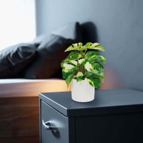   11892B Műnövény dekoráció - filodendron - zöld/sárga - 20 x 8 cm