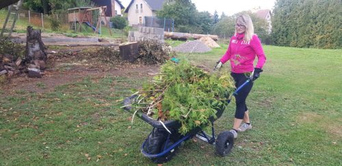 Mobarrow Standart Classic 15400999 akkumulátoros talicska, 250W, 150Kg akkuval, önjáró, 100 liter