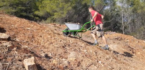 Mobarrow Standart Classic 15400999 akkumulátoros talicska, 250W, 150Kg akkuval, önjáró, 100 liter