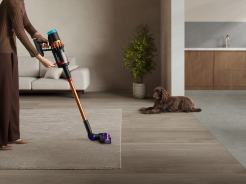 Dyson V16 Piston Animal Submarine™ nedves-száraz porszívó (Matte Black / Copper) (492969-01)