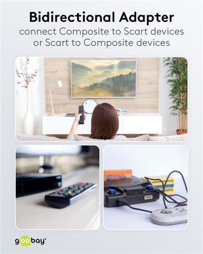 Goobay 50122 EURO / RCA átalakító In/Out