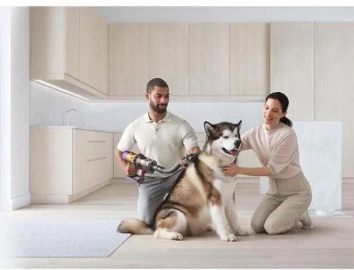 Dyson Pet Grooming Kit, 972205-01