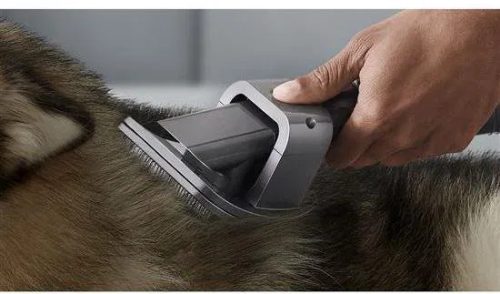 Dyson Pet Grooming Kit, 972205-01