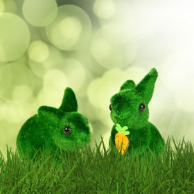   CMK-5480 Húsvéti dekoráció - nyuszi - 2 féle - 10 cm - zöld