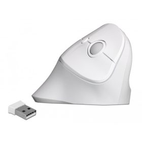   Delock Ergonómikus, vezetéknélküli függoleges USB egér (DL-12596)