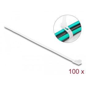   Delock Újrahasználható kábelkötegelő H 200 x Sz 4,8 mm 100 db. Fehér (DL-18642)