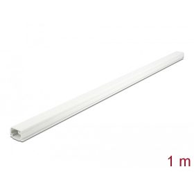   Delock Kábelcsatorna fedéllel 22 x 15 mm - hossza 1 m fehér (DL-20720)