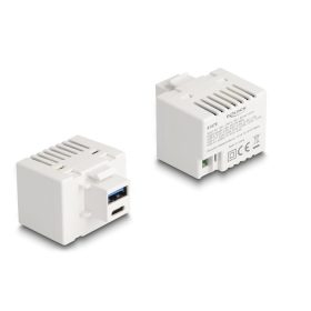   Delock Keystone Modul A-típusú USB-vel és USB Type-C  töltő porttal PD 20 W fehér (DL-41478)