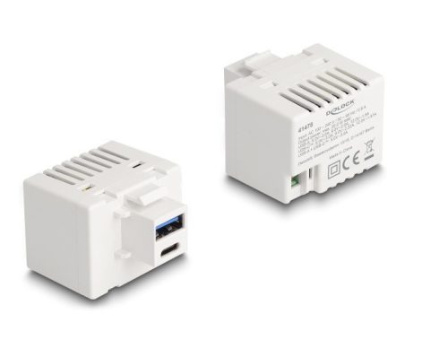 Delock Keystone Modul A-típusú USB-vel és USB Type-C  töltő porttal PD 20 W fehér