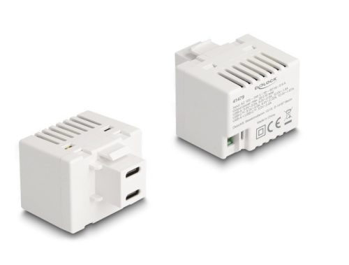 Delock Keystone Modul 2 x USB Type-C  töltő porttal PD 20 W fehér