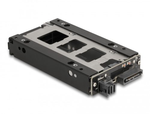 Delock Slim Mobil Rack 1 x 2.5  U.2 NVMe SSD-hez