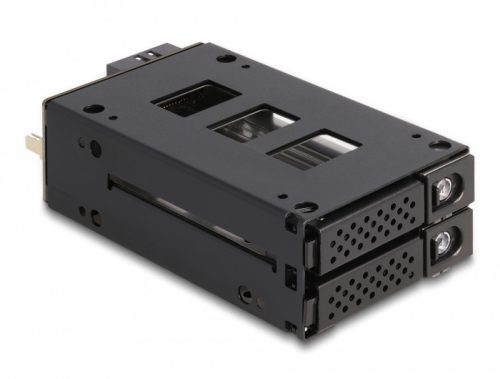 Delock Slim Mobil Rack 2 x 2.5  U.2 NVMe SSD-hez 5.25  kerettel