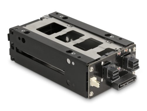 Delock Slim Mobil Rack 2 x 2.5  U.2 NVMe SSD