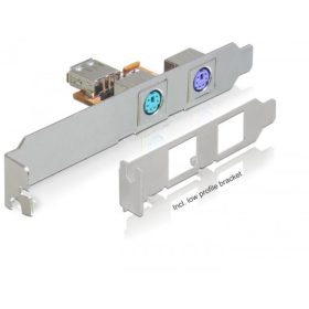 Delock Hátsó konzol USB > 2 x PS/2 (DL-61589)