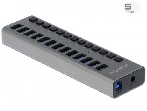 Delock Külső SuperSpeed USB hub 13 bemenettel és kapcsolóval