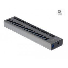   Delock Külső SuperSpeed USB hub 16 bemenettel és kapcsolóval (DL-63739)