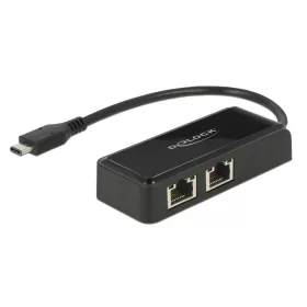   Delock Adapter SuperSpeed USB (USB 3.1 Gen 1) USB Type-C  csatlakozódugóval > 2 x Gigabit LAN 10/100 (DL-63927)