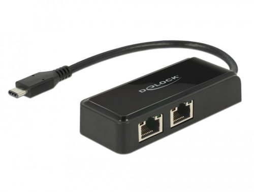 Delock Adapter SuperSpeed USB (USB 3.1 Gen 1) USB Type-C  csatlakozódugóval > 2 x Gigabit LAN 10/100
