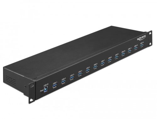 Delock 19  ipari hub 13 x USB 3.1 Gen 1 A-típusú csatlakozóval