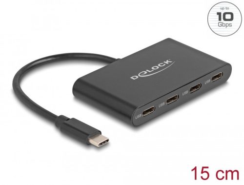 Delock USB 3.2 Gen 2 USB Type-C Hub 4 dbUSB Type-C anya   10 Gbps