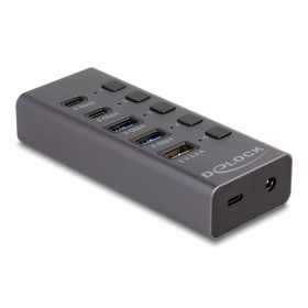   Delock Hub USB 5 Gbps 2 x A-típusú és 2 x USB Type-C  anya és 1 x gyorstöltő port + kapcsoló (DL-64248)
