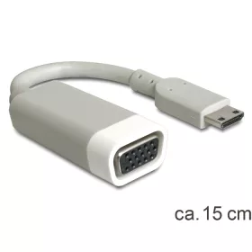 Delock HDMI-mini C apa > VGA anya adapter (DL-65471)