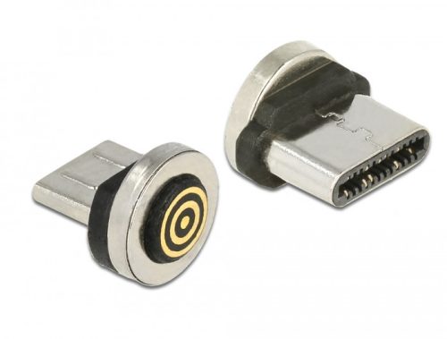 Delock USB Type-C  apa mágneses csatlakozó