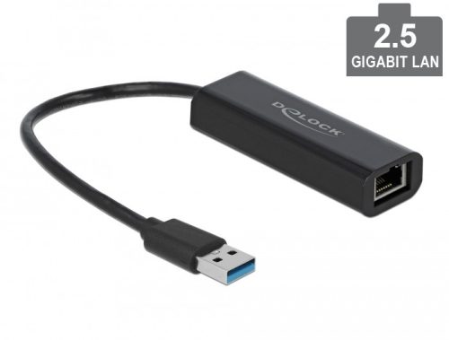 Delock USB Type-A adapter apa   2,5 Gigabit LAN