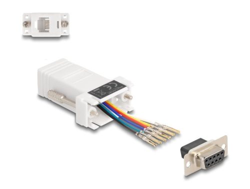 Delock D-Sub 9-tűs anya   RJ12 anya összekötő adapter fehér