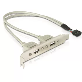   Delock Slot konzol 1x belső USB 10 tűs > 2x USB2.0 külső (DL-71000)