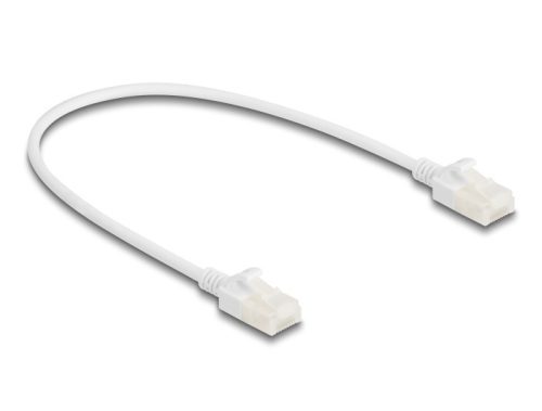 Delock RJ45 hálózati kábel Cat.6A apa   apa robosztus csatlakozóval ipari felhasználásra U/UTP Slim 0,3 m, fehér