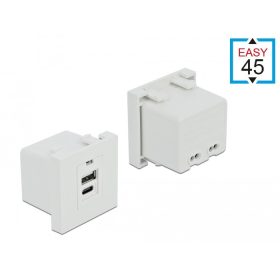   Delock Easy 45 USB töltő port modul 1 x A-típusú és 1 x USB Type-C  csatlakozó felülettel (DL-81313)