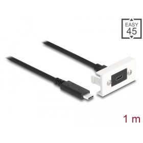   Delock Easy 45 modul SuperSpeed USB 10 Gbps (USB 3.2 Gen 2) USB Type-C  anya - USB Type-C  apa rövid kábellel, 22,5 x 45 mm (DL-81386)