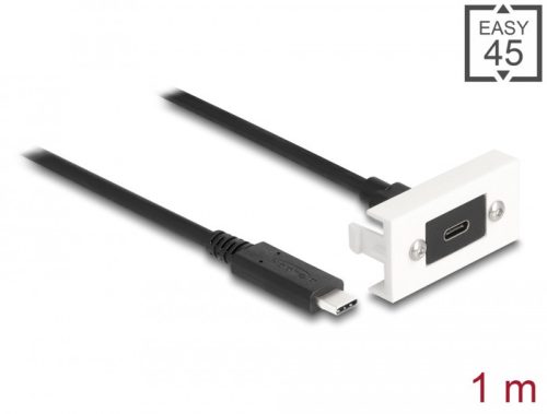 Delock Easy 45 modul SuperSpeed USB 10 Gbps (USB 3.2 Gen 2) USB Type-C  anya - USB Type-C  apa rövid kábellel, 22,5 x 45 mm