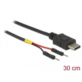   Delock C-Típusú USB tápkábel 2 db. különálló tűfejes apa véggel hossza 30 cm (DL-85420)