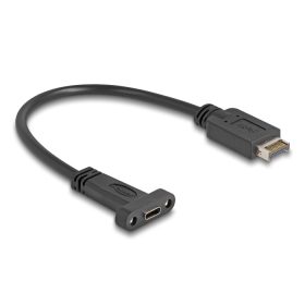   Delock USB 10 Gbps kábel E-típusú A kulcs USB 20 tűs apa - USB Type-C  panel-rögzítős anya 25 cm (DL-85454)