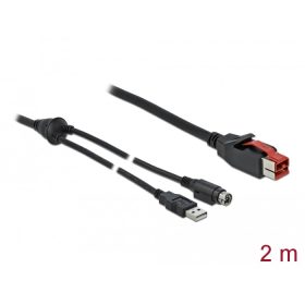   Delock PoweredUSB kábel apa 24 V > A-típusú USB apa + Mini-DIN 3 tűs apa 2 m, POS nyomtatókhoz és cs (DL-85941)