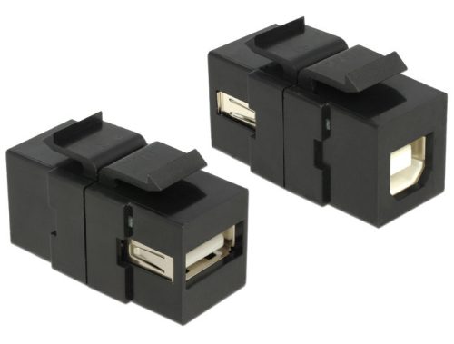 Delock Keystone modul 2db USB "A" aljzattal