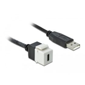   Delock Keystone modul, USB 2.0 C-csatlakozóhüvely > USB 2.0 A-csatlakozódugó, kábellel (DL-86382)
