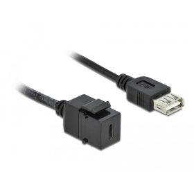   Delock Keystone modul, USB 2.0 C-csatlakozóhüvely > USB 2.0 A-csatlakozóhüvely, kábellel (DL-86384)