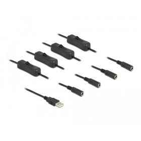   Delock A-típusú USB apa   4 db. DC 5,5 x 2,1 mm anya csatlakozójú, 1 méter hosszú kábel (DL-86799)