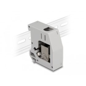   Delock DIN sín adapter Keystone modullal RJ45 anya - RJ45 anya Cat.6A (DL-86959)