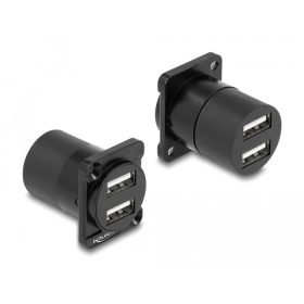   Delock D-típusú Modul USB 2.0 A-típusú 2 x hüvely - 2 x hüvely (DL-87812)